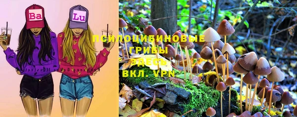 а пвп мука Алзамай