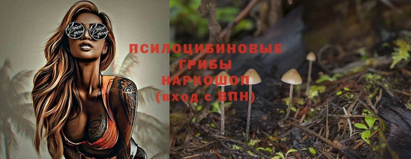 а пвп мука Алзамай